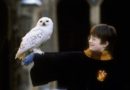 Harry Potter e a Pedra Filosofal | Especial